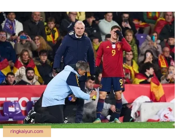 加维欧洲杯决赛遗憾表现分析，球队未来仍具备竞争力